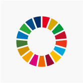 SDG's17の目標