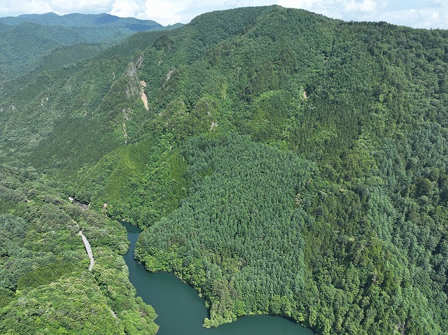 『あゝ野麦峠』歴史に刻む乗鞍山麓の森づくり-飛騨高山-写真