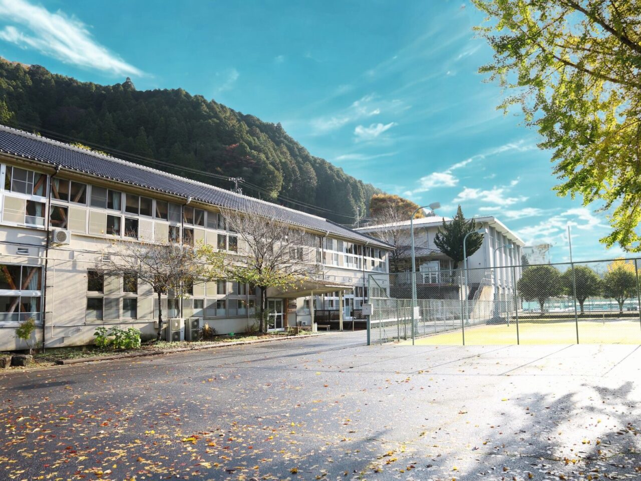 矢作川水源地・恵那市串原地域の明日へ繋げる森林再生プロジェクト写真