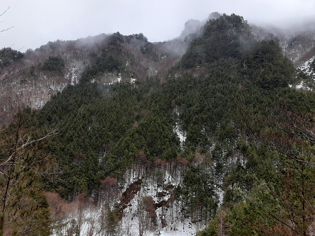 『あゝ野麦峠』歴史に刻む乗鞍山麓の森づくり-飛騨高山-写真