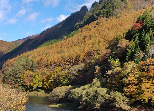 『あゝ野麦峠』歴史に刻む乗鞍山麓の森づくり-飛騨高山-写真