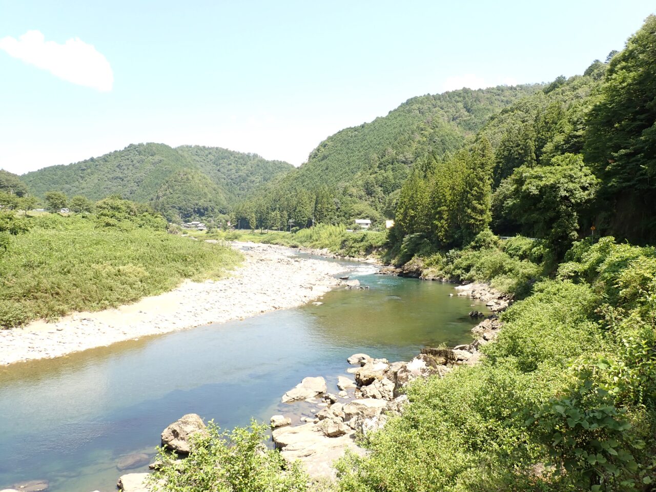 清流長良川の水源と美濃市洲原の森林を守る森林管理写真